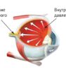 Современные глазные капли при глаукоме